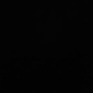 Meet your Posher, Constantin